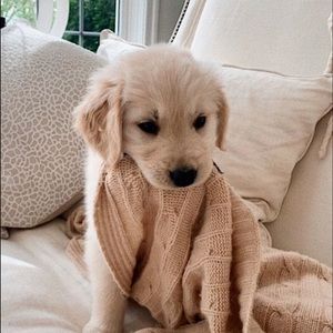 Meet your Posher, Aliya